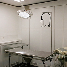 Kleintierpraxis Bensch